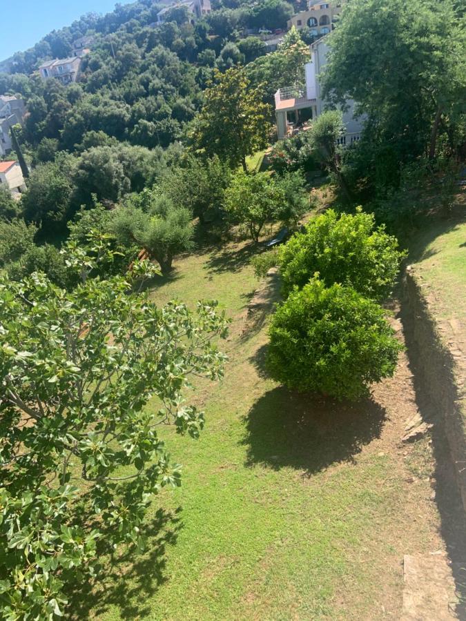 Nova * Santa-Maria-di-Lota