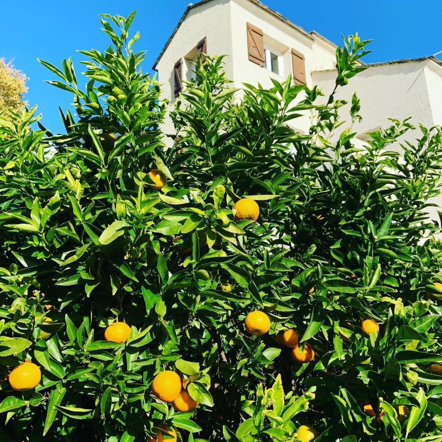 Apartment Nova Santa-Maria-di-Lota