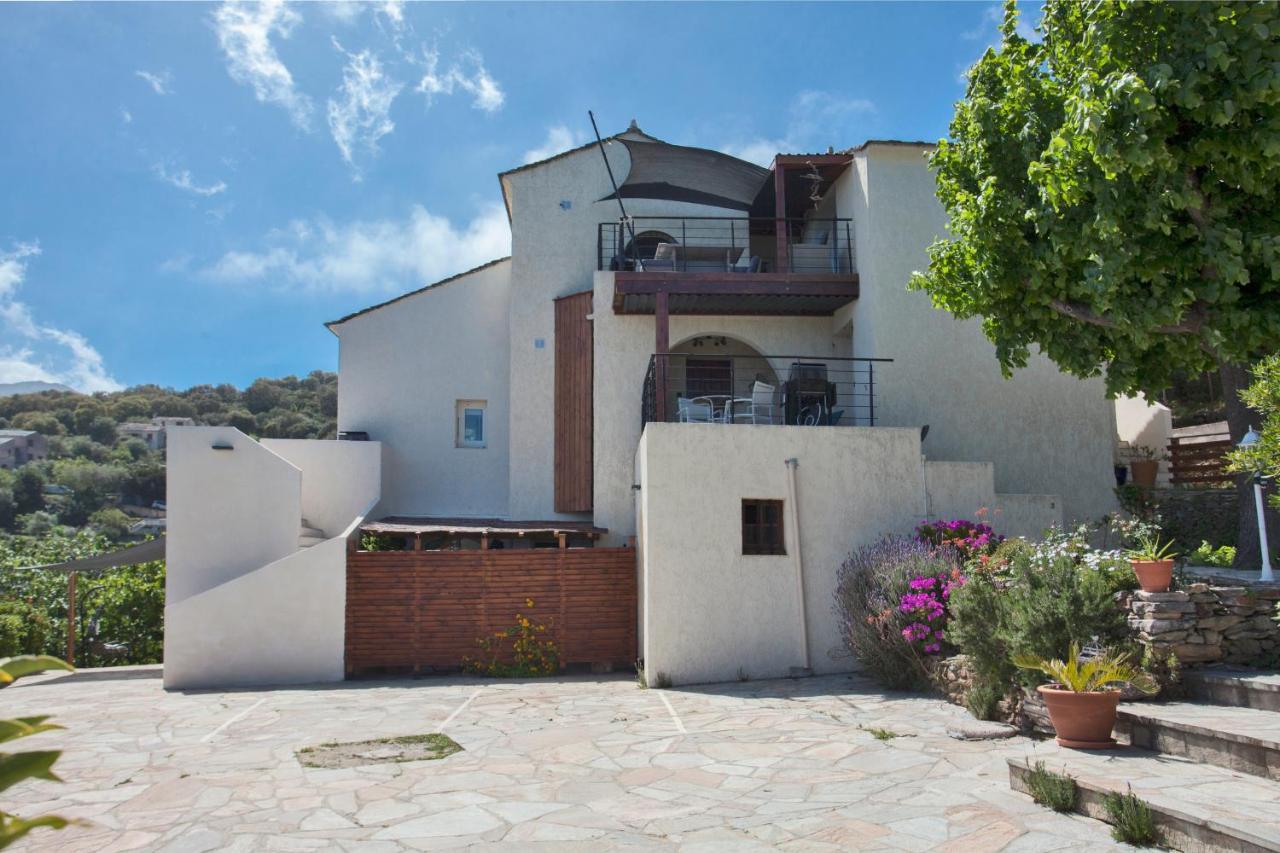Apartment Nova Santa-Maria-di-Lota