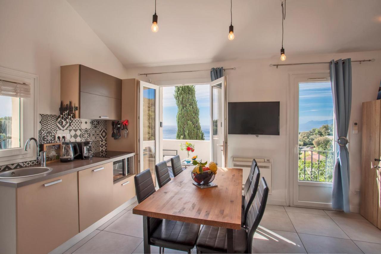 Apartment Nova *