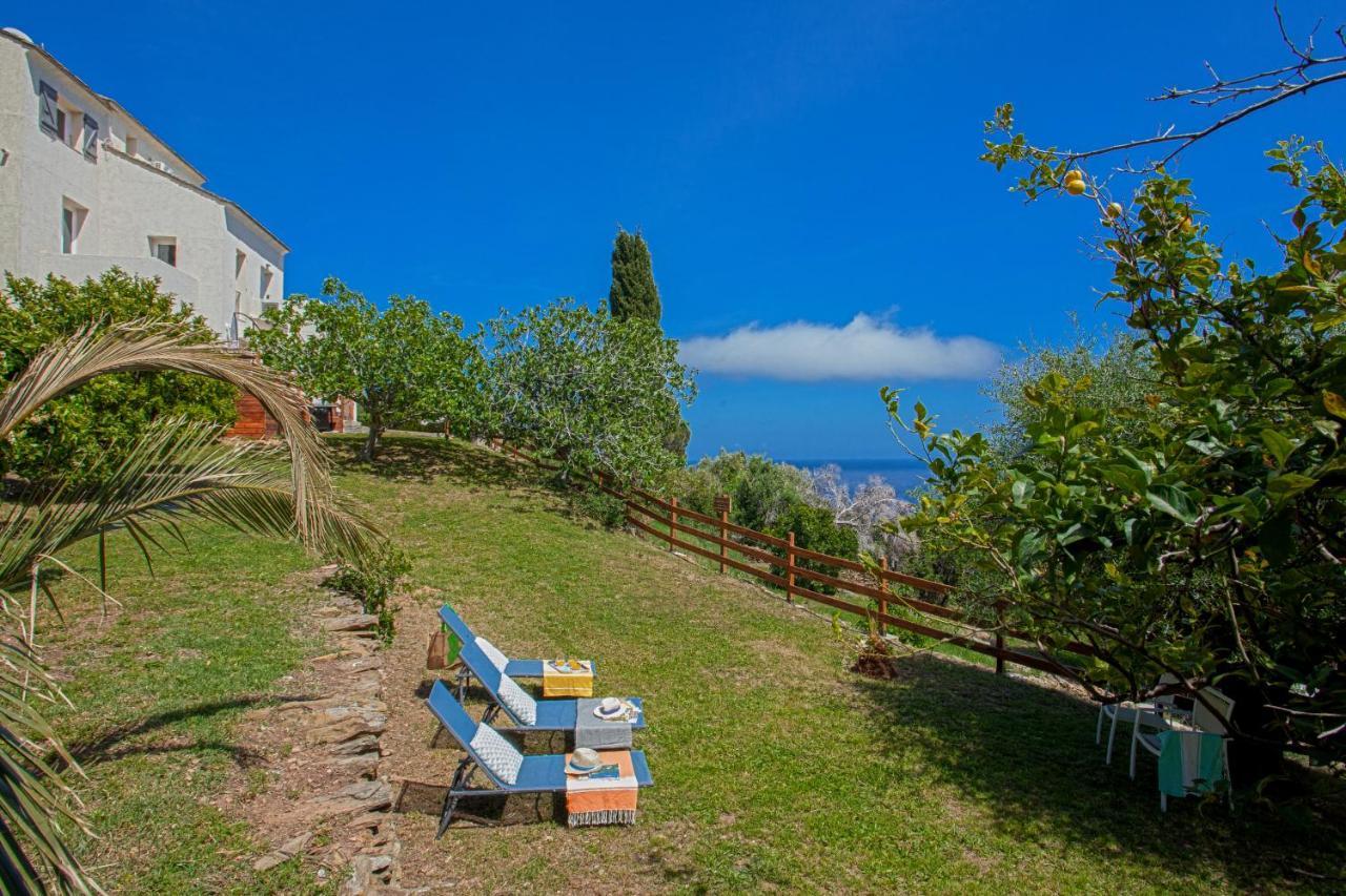 Nova Appartement Santa-Maria-di-Lota